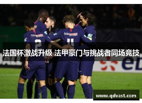 法国杯激战升级 法甲豪门与挑战者同场竞技